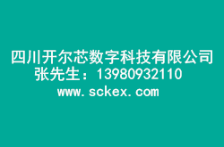 前十名股東持股情況